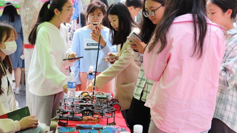 数据可视化与数据分析：解析两者之间的本质差异